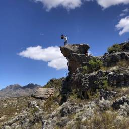 33_CB_fieldwork_-_Pride_Rock_original